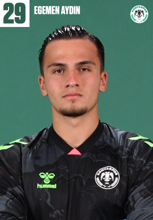 EGEMEN AYDIN